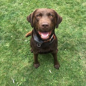 Meet your Posher, Reese